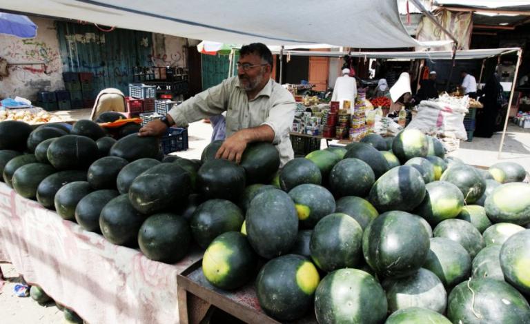 البطيخ في غزة