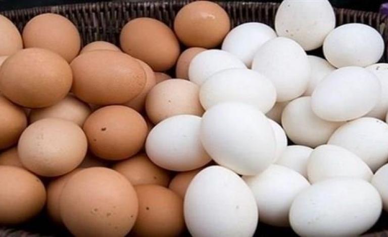 f784ecab-fda7-4cd4-83ea-91d6611e3153