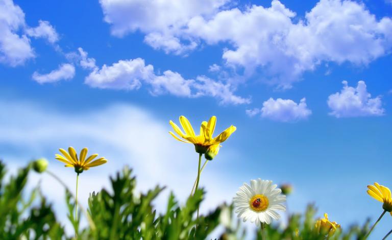 26afe3c2d14ee13d11a1d018ff22d8f0