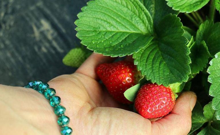 thumbs_b_c_caf077570b08fbc04f6c50590dae9066