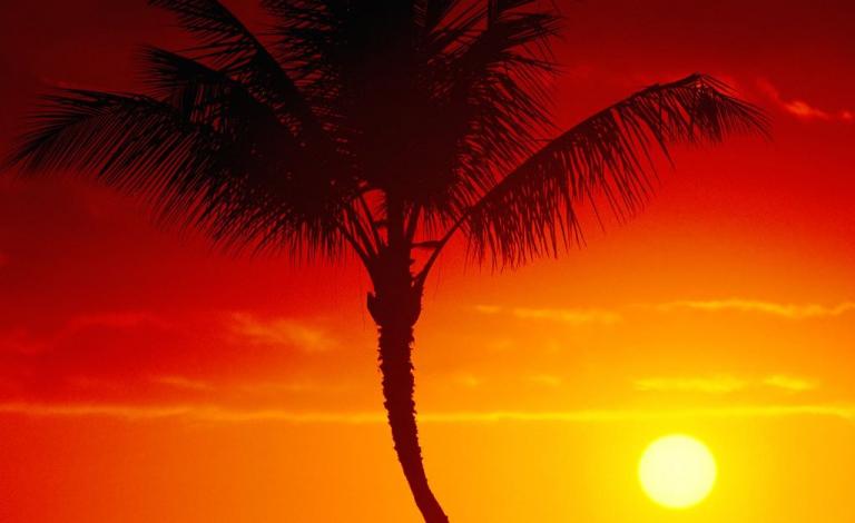 Warmth of Summer, Maui, Hawaii