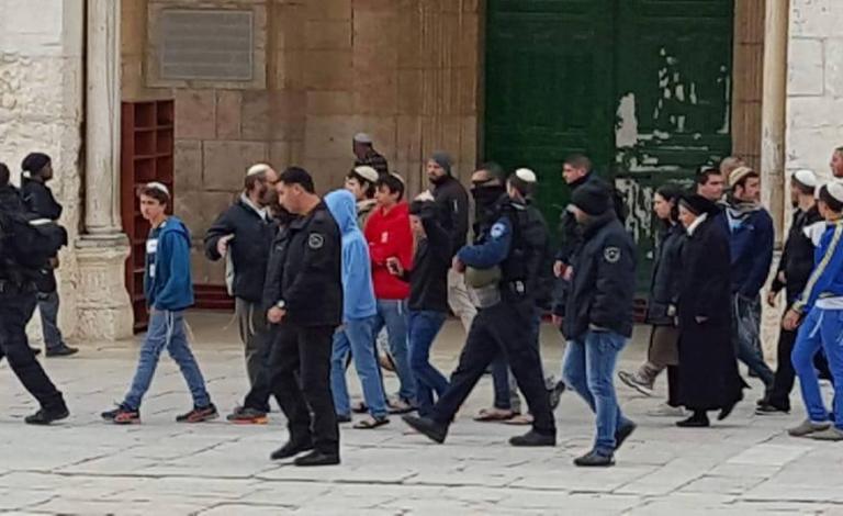 9153_1349651278410622_8216887823707468536_n