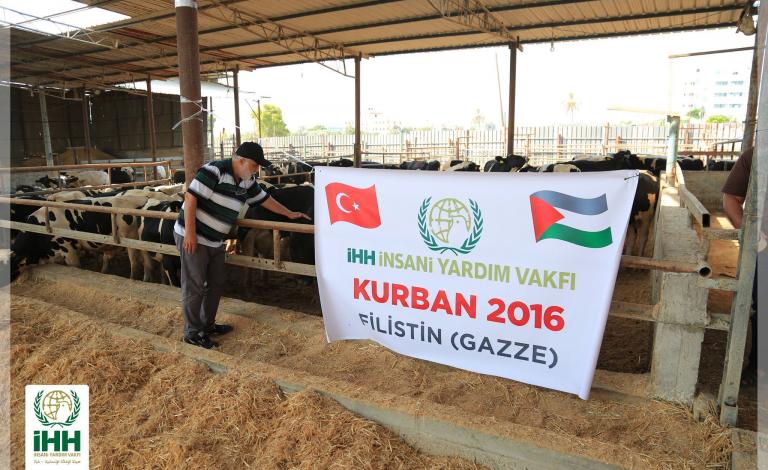 (IHH) التركية ستوزع لحوم أضاحي على 9 آلاف أسرة فقيرة بغزة
