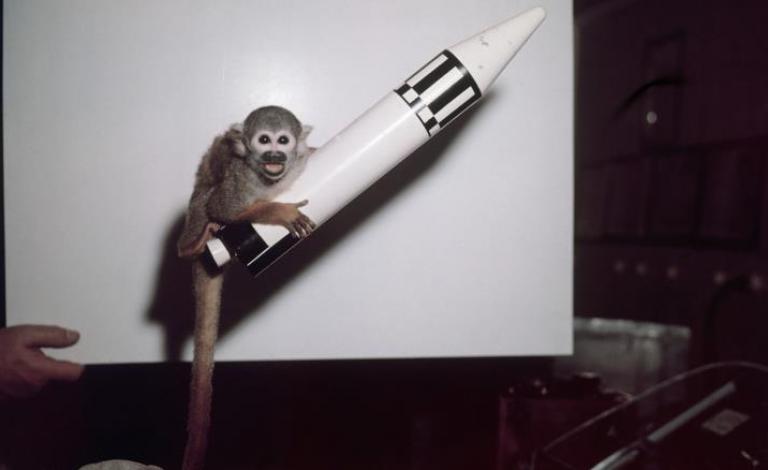 cc167e9e-54c7-469e-816f-4582ce7cc92e