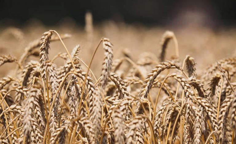 5abb62ecd437505a058b45e4