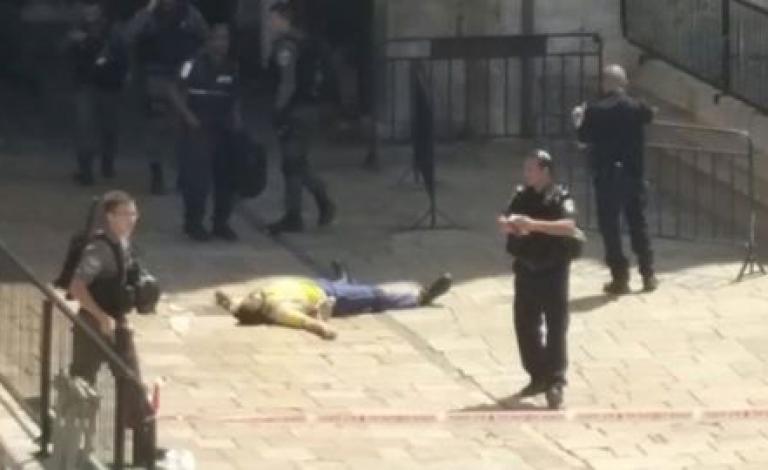 14369871_1550704498305298_110413301931169507_n