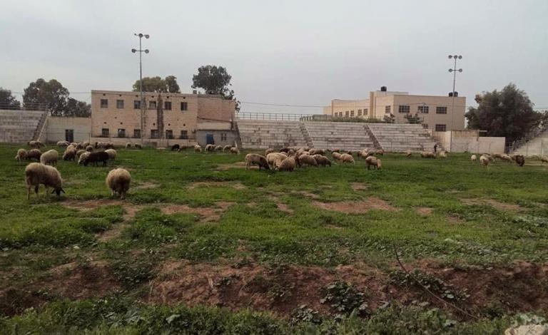 12802861_858666320910361_7747999053243515596_n