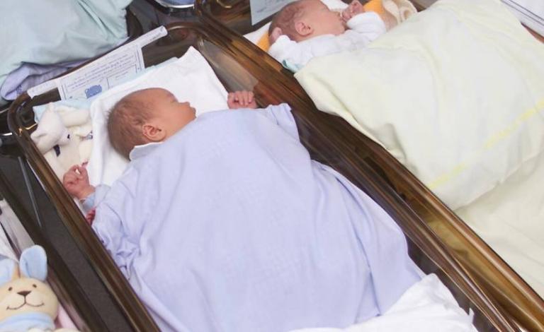 16508725_1241145419307640_716239776301723200_n