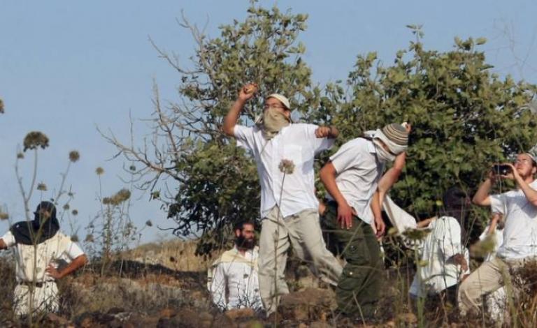 3116d9c682a31638d2b88ece7e3edf9e