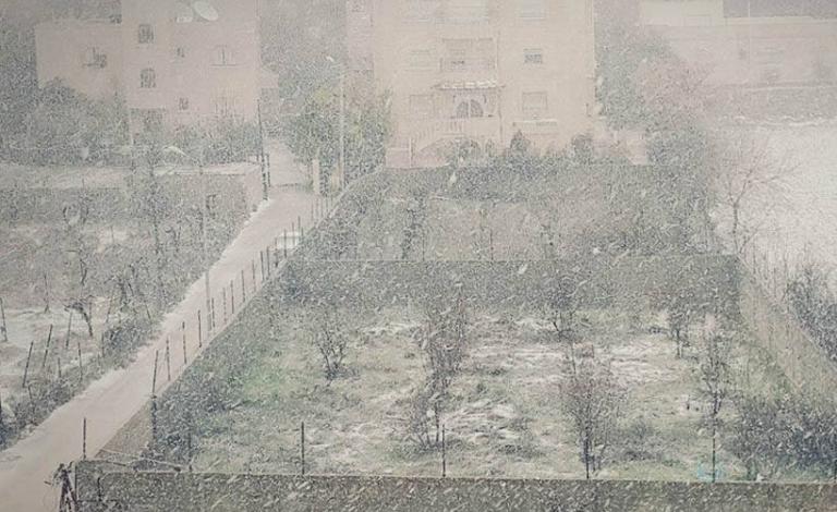 12321229_1291419230900494_2700675018426808801_n