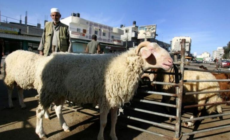 تويع