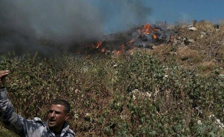 حريق أعشاب في قلقيلية