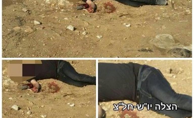 12182085_944796275582010_1203147016_n