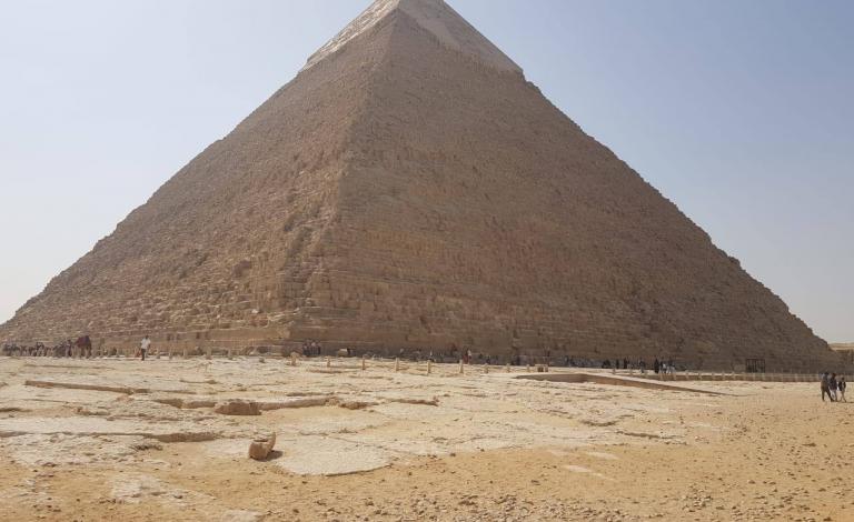 cf469512-f76d-4a28-96cb-ee7dddfa4068