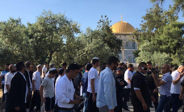 مستوطنون يقتحمون الأقصى