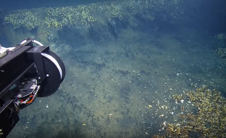 بحيرة تميت من يسبح بها