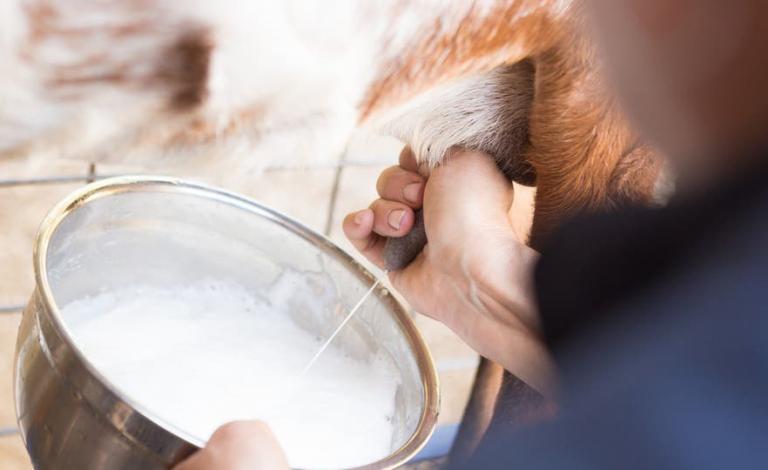 34eb8f57-b577-4f4e-985b-7a241f7b735c_16x9_1200x676