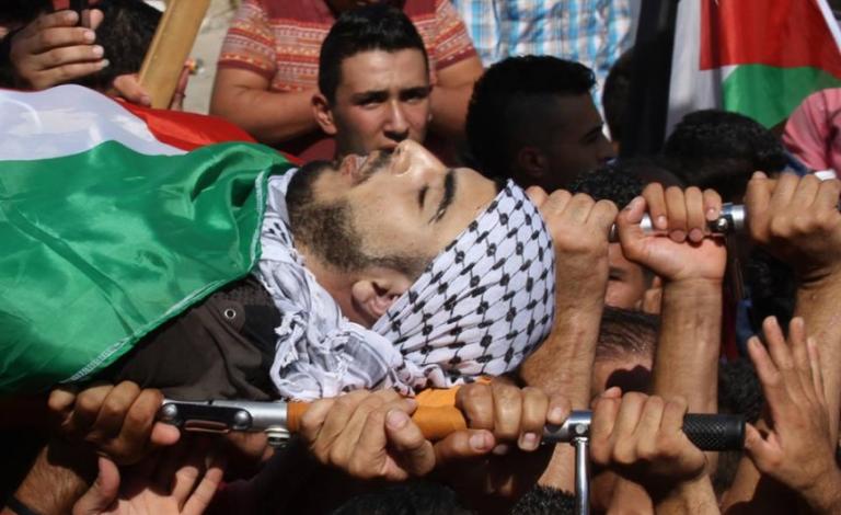 "أوتشا": 23 شهيدا بينهم ستة أطفال منذ بداية العام الجاري