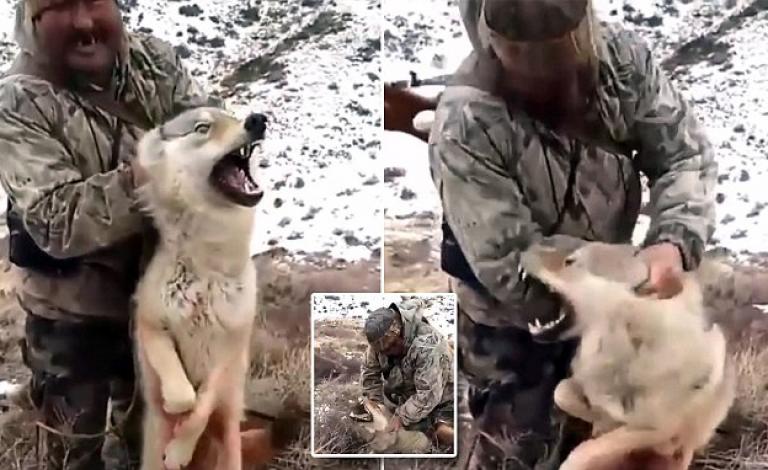 2F8E109F00000578-0-image-a-6_1450725236159