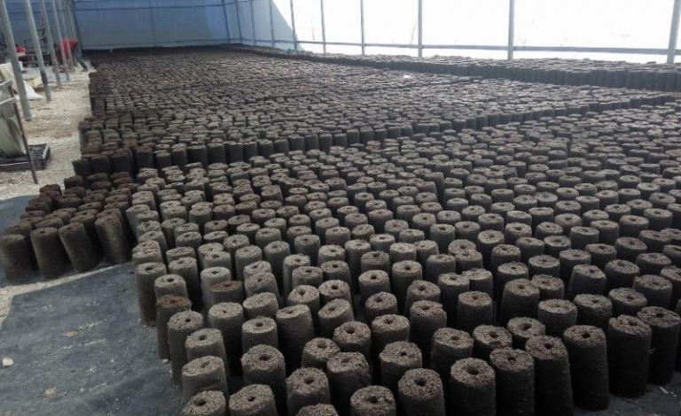 16106896_10208197830005873_2004777312_o