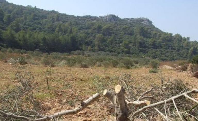 aaaa