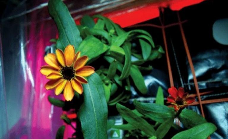 01075116260028754278375515720138