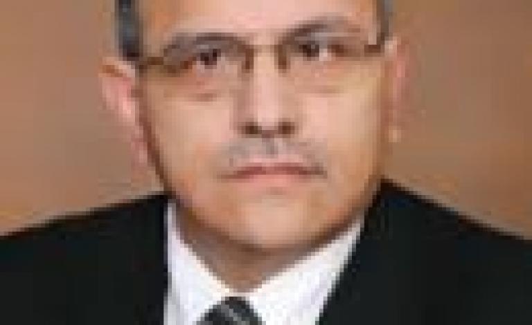 هاني المصري