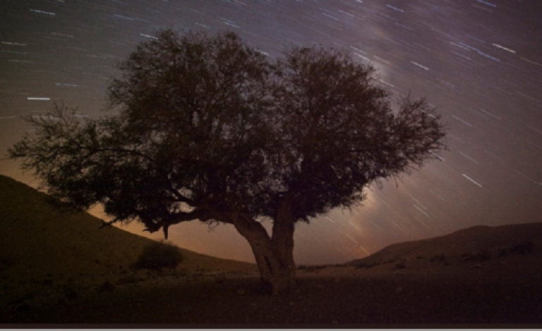 ظاهرة فلكية مميزة تزين سماء العالم الليلة