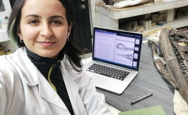 اكتشاف زاحف بحري "وحشي" جديد مع "ترسانة من الأسنان'' عاش في عصر الديناصورات