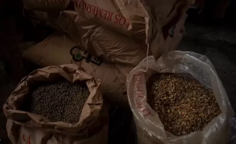 دول عدة تدفع ثمن حرب أوكرانيا.. خريطة جديدة للقمح والجوع