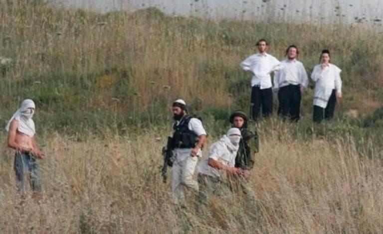 مستوطنون يعتدون على راعي أغنام بـ "مسافر يطا"