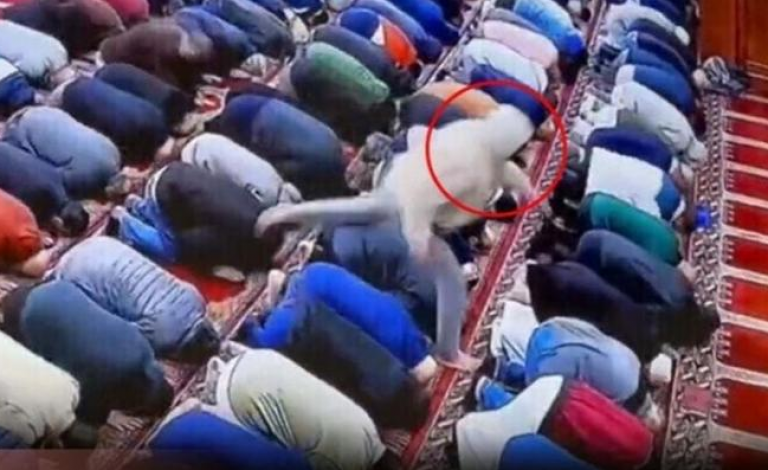 لحظة طعن إمام مسجد في صلاة الفجر بنيوجيرسي