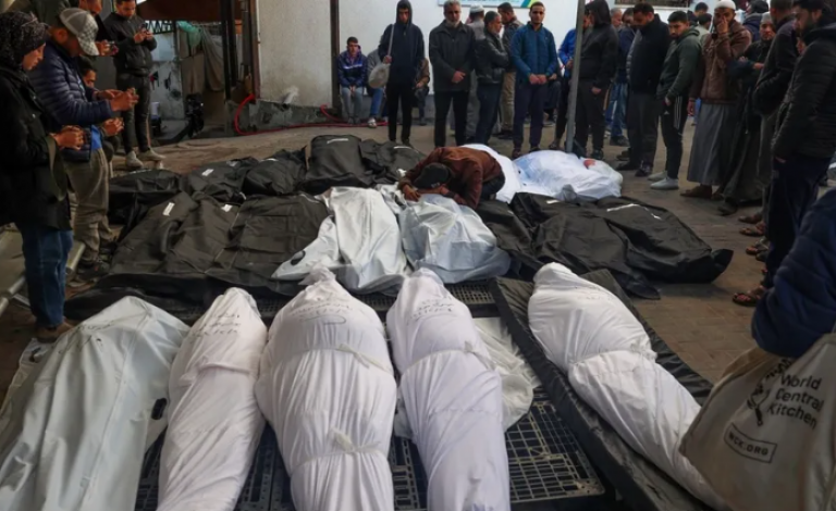 كم عائلة في غزة استشهد كامل أفرادها جراء المجازر؟