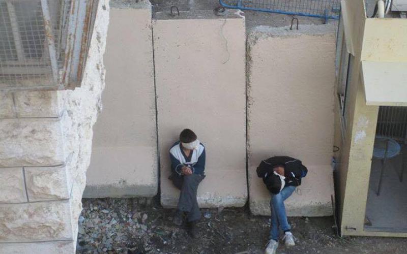 13023344_1076175885779602_603418290_n