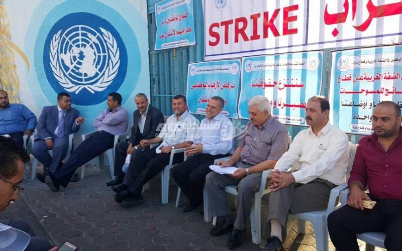 14555989_1167049563356679_2069160492_n