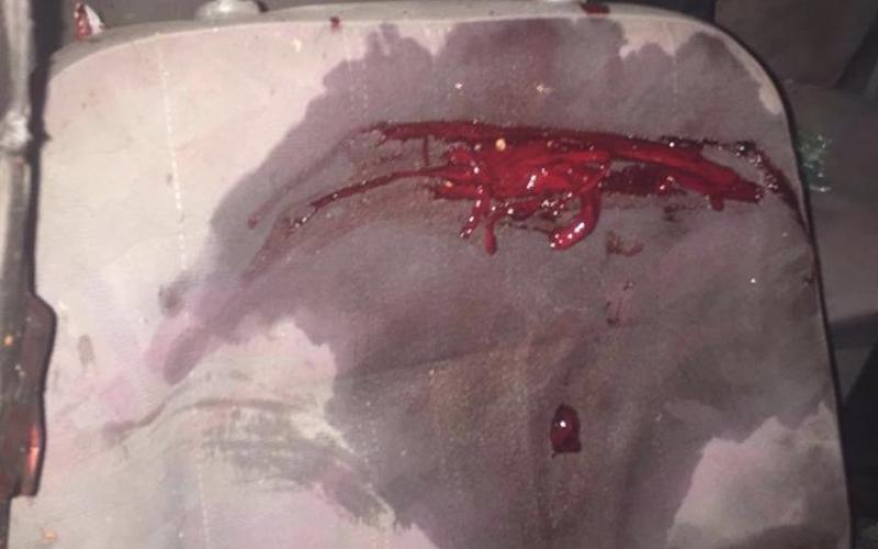 14218397_1348913255137860_1911823070_n