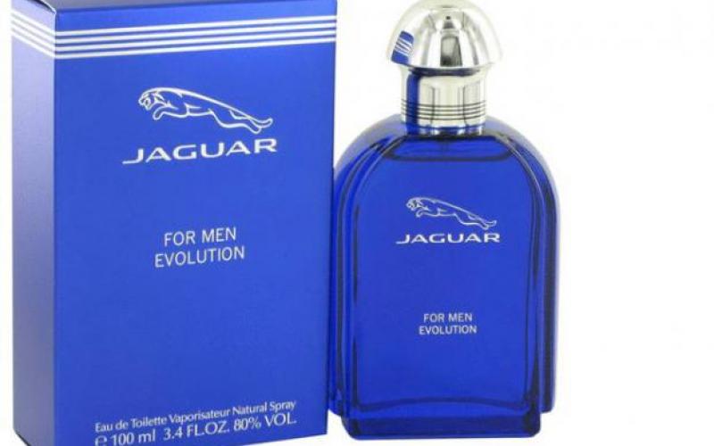 -Jaguar Evolution  