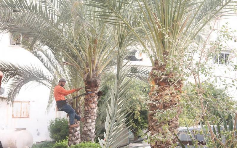 17499501_1889913561224898_8458993925479273846_n