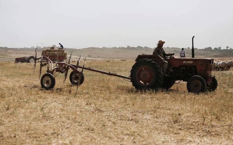 13263767_1169113496498883_5385851153118034409_n