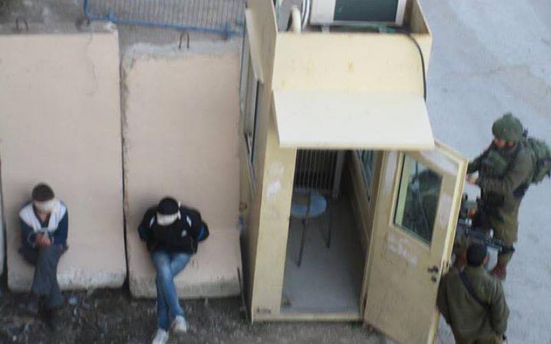 13023228_1076175862446271_728285736_n