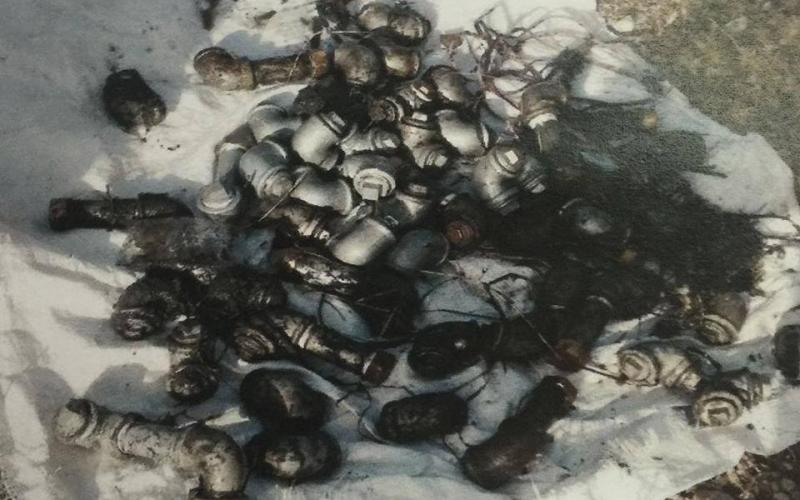 13528856_1821541204732191_6633706438187908746_n