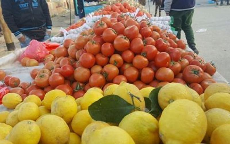 16830142_10212224363948365_56183800_n