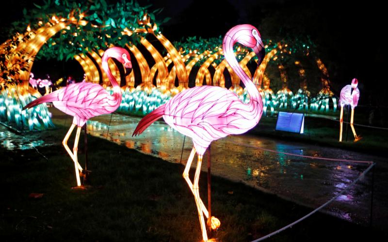 2019-11-15t192112z_1085731528_rc2vbd9bagz0_rtrmadp_3_christmas-season-paris-lights-oceans-1024x683