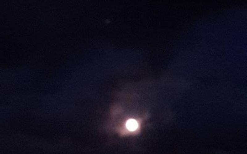 3aM83