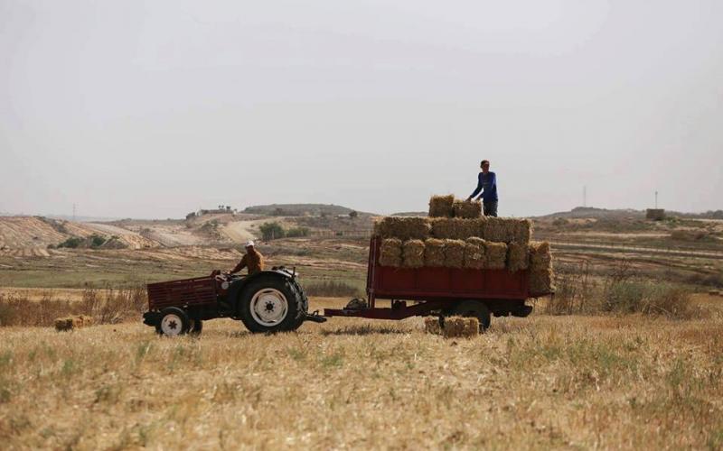 13266052_1169113499832216_8026243829706750607_n