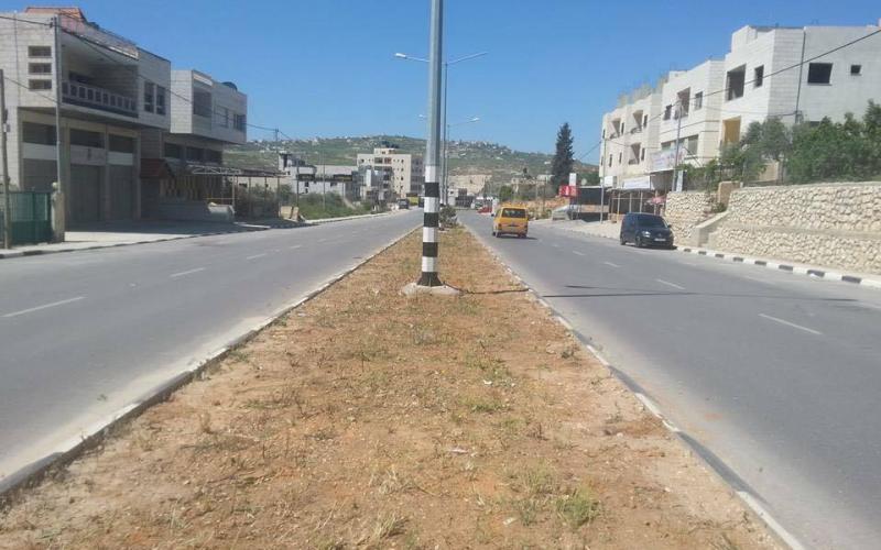 12939438_1073588832705073_2057172989_n