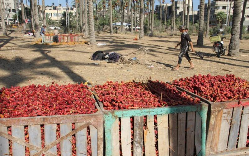 14570495_641672549335630_6354893649391088995_n