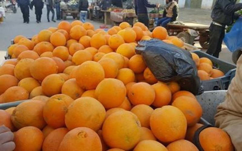 16837901_10212224364428377_1454440131_n