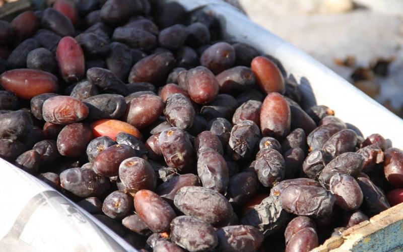 14522727_641672542668964_8153209505827899521_n