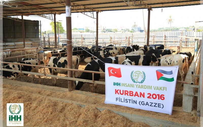 14206057_1532219990153749_133281963596985993_o